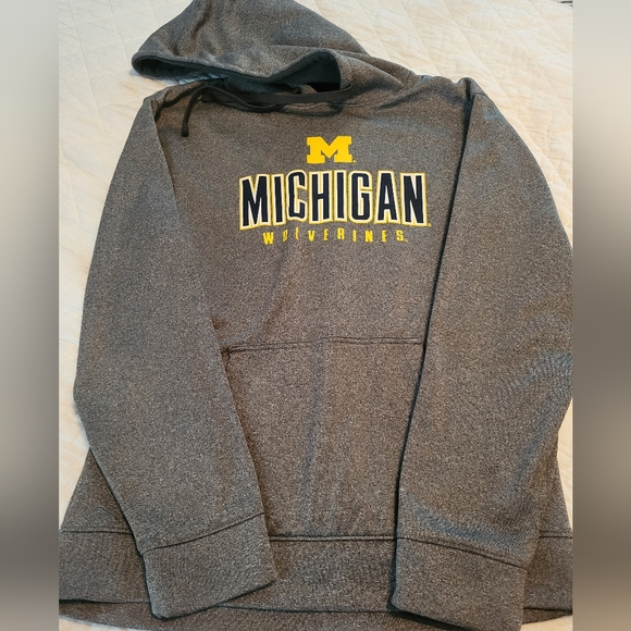 Michigan Wolverines Men's Hoodie - Picture 1 of 1